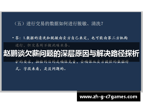 赵鹏谈欠薪问题的深层原因与解决路径探析